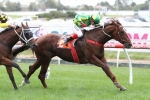 Gai Waterhouse Classic Ideal for Scarlet Billows