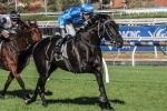 Zahra and Fontein Ruby to team up again in the Australasian Oaks