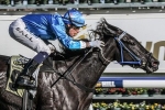 Fontein Ruby on Queensland Oaks trial at Caulfield Fontein Ruby on Queensland Oaks trial at Caulfield