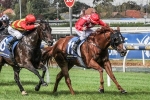 Hayes Happy With John Monash Stakes Duo
