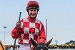 Vain Stakes On The Agenda For Green Card Vain Stakes On The Agenda For Green Card