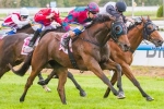 Happy As Hell To Take Place In Queensland Derby Field Happy As Hell To Take Place In Queensland Derby Field