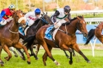 Hayes Happy With The Goodwood Duo Hayes Happy With The Goodwood Duo