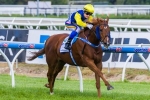 Noblet Expecting Sistine Demon To Run Well In Sir Rupert Clarke Stakes