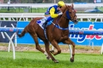 Sistine Demon Can Overcome Wide Gate In The Goodwood Sistine Demon Can Overcome Wide Gate In The Goodwood