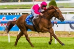Sprinkling Of Support For The Quarterback In Black Caviar Lightning Stakes Betting