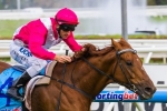 The Quarterback can earn Royal Ascot trip with William Reid Stakes win