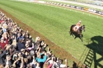 Grand send off for Black Caviar