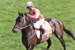 Black Caviar Owners Celebrate Rowdy Win