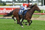 Chairman’s Stakes quinella among South Australian Derby nominations