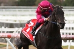 Quezette Stakes Ideal for Merriest