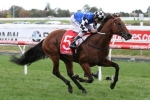 Raw Impulse still outside chance to run in Doomben Cup