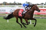 Raw Impulse still outside chance to run in Doomben Cup Raw Impulse still outside chance to run in Doomben Cup