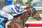 Wide Alley for Australasian Oaks Lead-Up Not So Smart Wide Alley for Australasian Oaks Lead-Up Not So Smart
