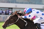Doomben Cup next for A.D. Hollindale Stakes winner Oregon’s Day