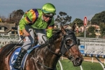 Durendal chasing first Moonee Valley win in Australia Stakes Durendal chasing first Moonee Valley win in Australia Stakes