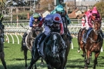 Master Of Arts Wins 2016 Warrnambool Cup