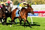 Midsummer Sun To Mornington Cup After Gosford Cup Victory