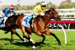 Kavanagh Purchases Three European Horses Kavanagh Purchases Three European Horses