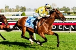 Tales Of Grimm Close To Australian Racing Debut