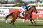 Raw Impulse scratched from Moonee Valley assignment