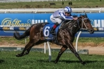Mile Test For Bassett In Carbine Club Stakes