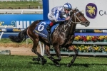 Bassett capable of upset in Caulfield Guineas Bassett capable of upset in Caulfield Guineas