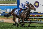 Bassett capable of upset in Caulfield Guineas