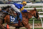Playmaster To Aurie’s Star Handicap Playmaster To Aurie’s Star Handicap