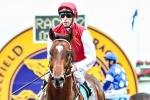 Patch Adams Thriving Ahead of Sandown Guineas Patch Adams Thriving Ahead of Sandown Guineas