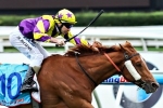 Sonntag looking for fairy tale result in Queensland Derby Sonntag looking for fairy tale result in Queensland Derby