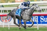 Robbie Laing Tackles Christmas Stakes with Three-Pronged Attack Robbie Laing Tackles Christmas Stakes with Three-Pronged Attack