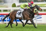 Shiny Buttons To Run In Warrnambool Cup