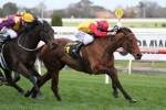 A Lotta Love for Leilani Series Final at Flemington A Lotta Love for Leilani Series Final at Flemington