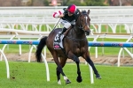 Lord Of The Sky Primed for Sir John Monash Stakes