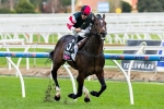 Lord Of The Sky To Miss Spring With Tendon Injury Lord Of The Sky To Miss Spring With Tendon Injury