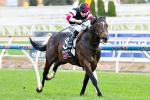 Lord Of The Sky Draws Wide in Sir John Monash Stakes Field