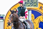 Lord Of The Sky to strip fitter in Blecthingly Stakes Lord Of The Sky to strip fitter in Blecthingly Stakes