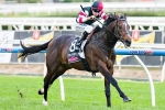 Standish Handicap next for Lord Of The Sky Standish Handicap next for Lord Of The Sky