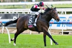 Laing Unhappy With 60 Kilos For Lord Of The Sky Laing Unhappy With 60 Kilos For Lord Of The Sky