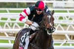 Lord Of The Sky to return in Sir John Monash Stakes Lord Of The Sky to return in Sir John Monash Stakes