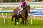 Price Confident Of Strong Showing From Royal Snitzel In Quezette Stakes