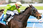 Ipswich Cup winner Self Sense to chase more Winter Carnival Cups