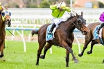 Complete 2017 Caloundra Cup Form Guide Complete 2017 Caloundra Cup Form Guide
