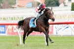 Classy Colts To Do Battle In National Patient Transport Handicap Classy Colts To Do Battle In National Patient Transport Handicap