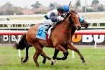 Newmarket Handicap Odds Not Right For Pago Rock