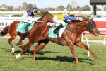 Moonee Valley Racing Preview – Saturday June 3rd