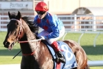 The Monstar and Ulmann equal top weights for Glasshouse Handicap The Monstar and Ulmann equal top weights for Glasshouse Handicap