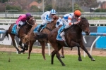 Affirmation to secure Golden Rose start in Up And Coming Stakes Affirmation to secure Golden Rose start in Up And Coming Stakes
