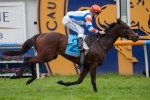 Affirmation earns a Spring Carnival campaign with Caulfield win Affirmation earns a Spring Carnival campaign with Caulfield win